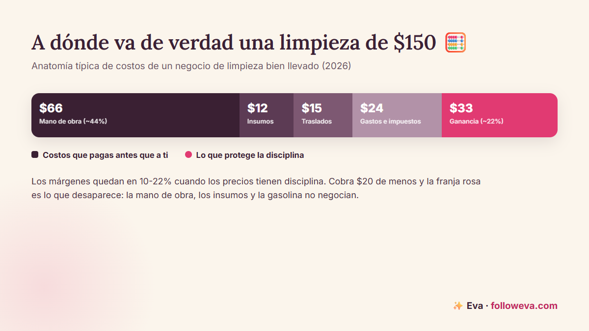 A dónde va una limpieza de $150: mano de obra, insumos, traslados, gastos generales y ganancia de la dueña